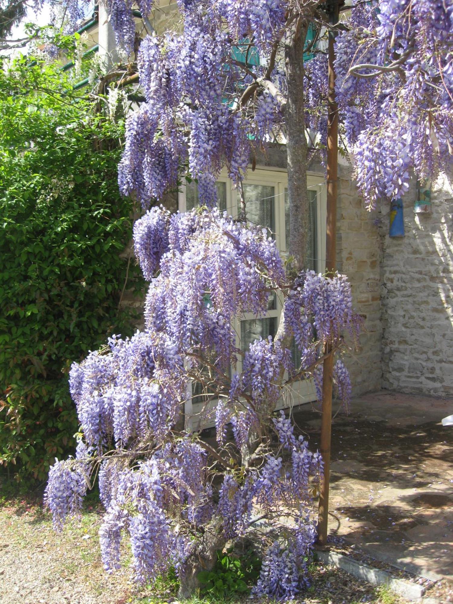 Agriturismo Cascina Serra Cossano Belbo Екстериор снимка