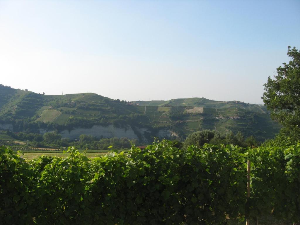 Agriturismo Cascina Serra Cossano Belbo Стая снимка