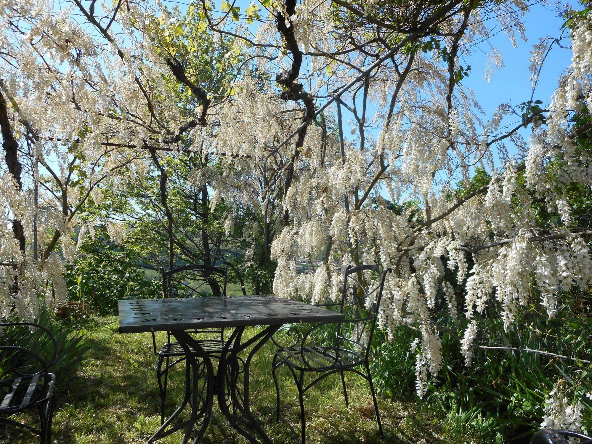 Agriturismo Cascina Serra Cossano Belbo Екстериор снимка